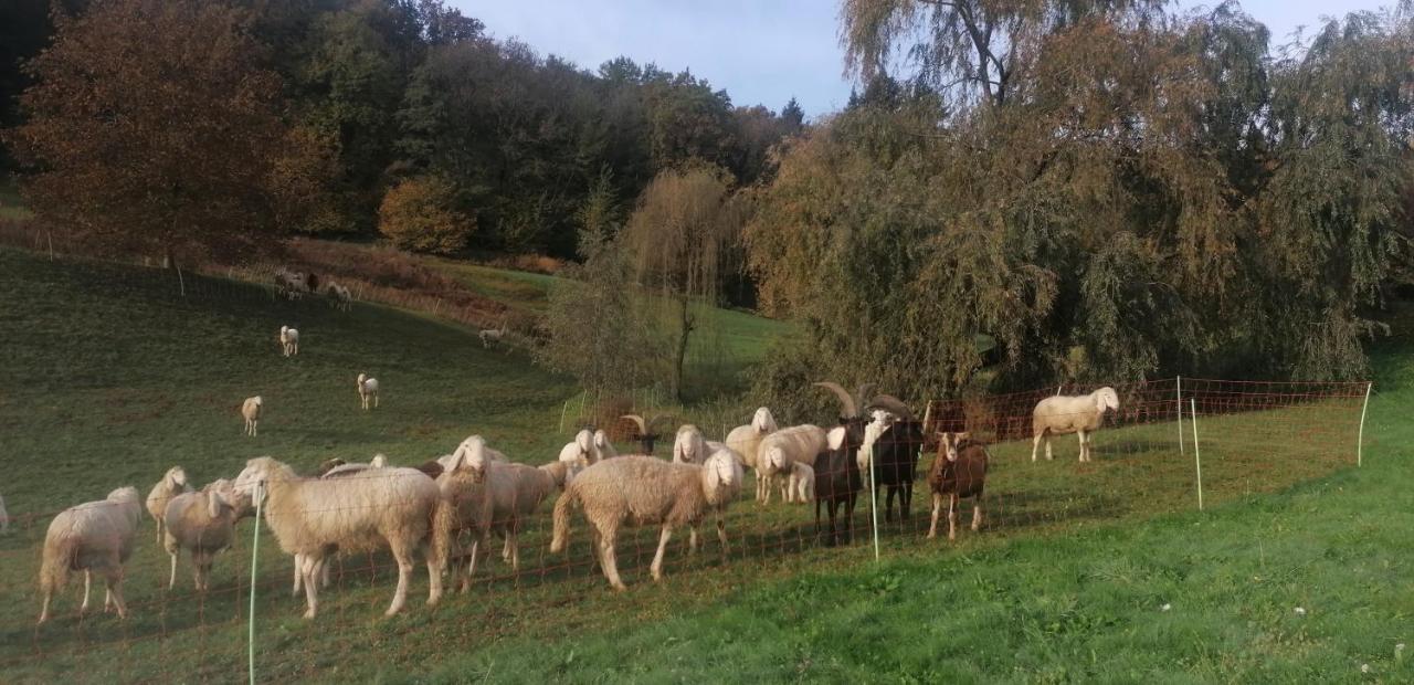 Antica Cascina Del Medico Muzzano Exterior foto