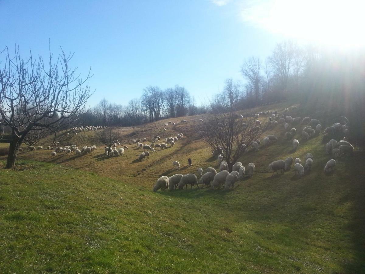 Antica Cascina Del Medico Muzzano Exterior foto